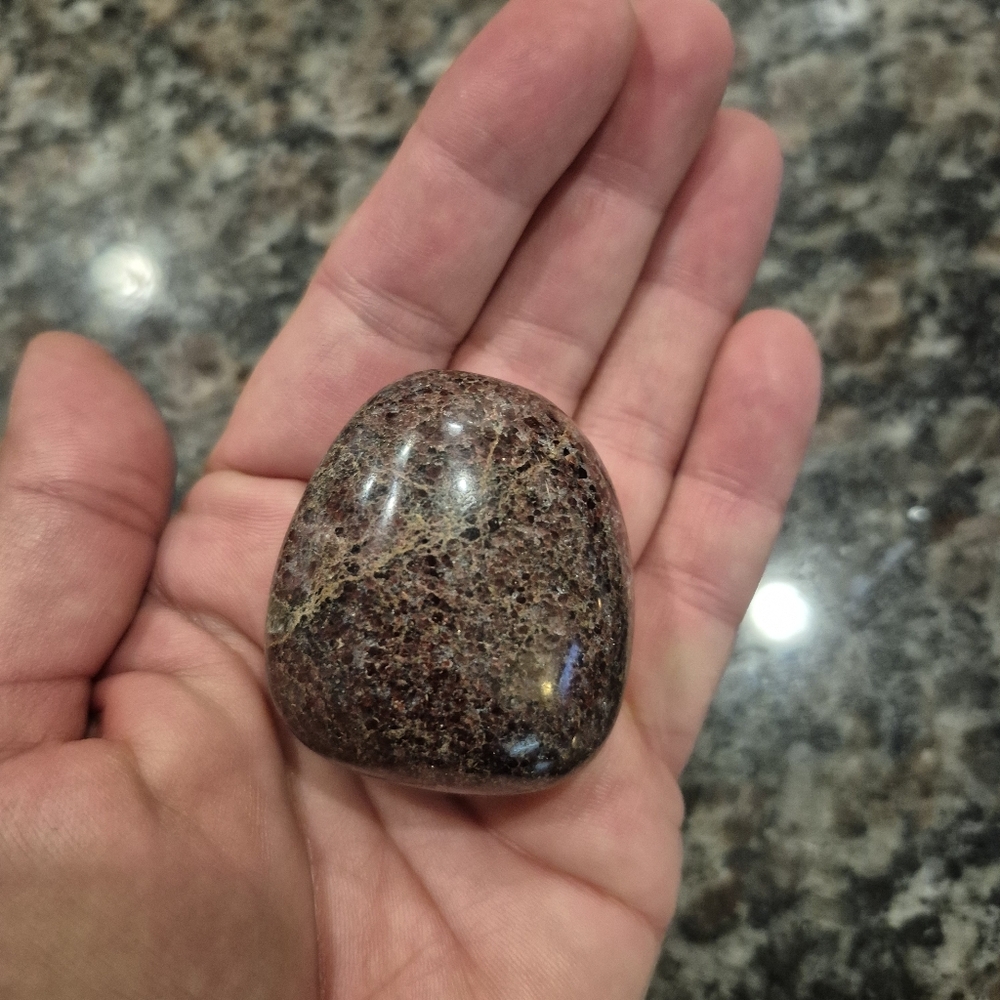 Natural Llanite Jasper Que Serra Palm Stone #7 New - Picture 6 of 6